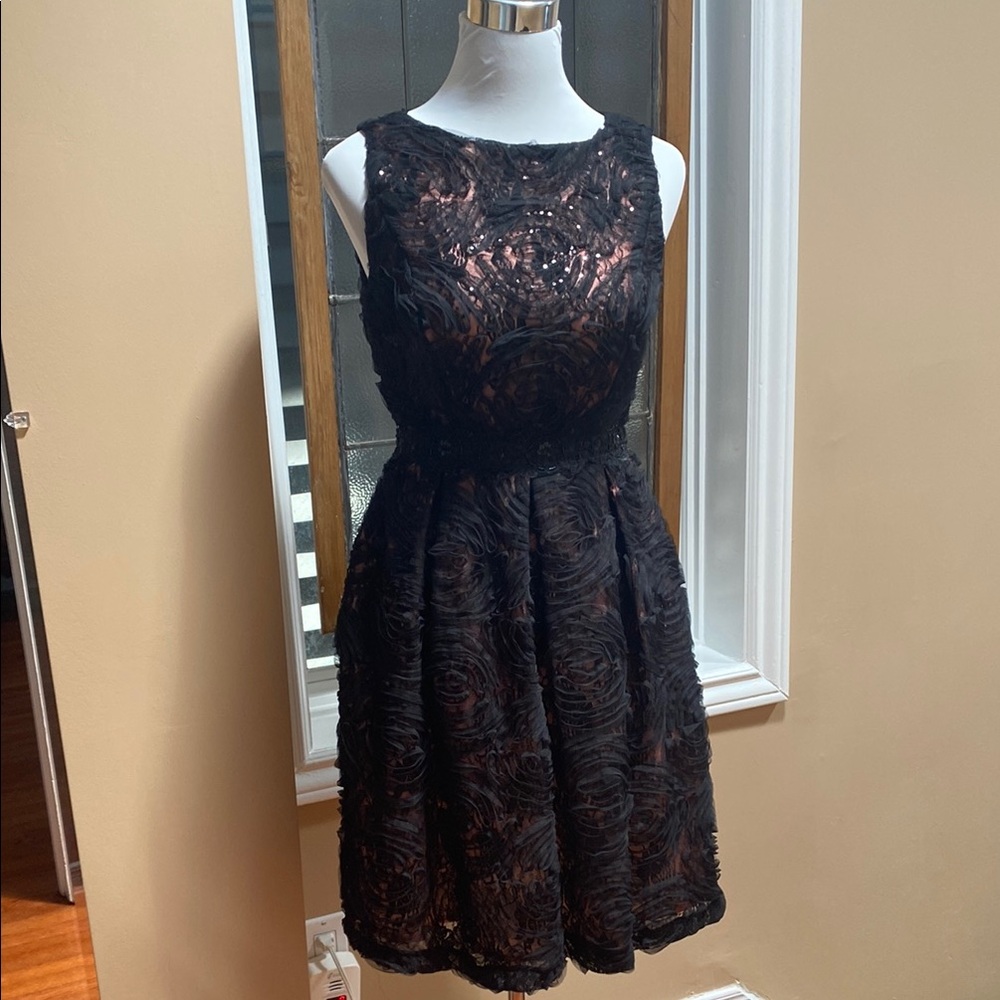 Black Fit and Flare Sleeveless Mini Dress